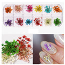 Flores Secas 12 Cores Para Decoração De Unhas Encapsulamento