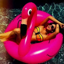 Boia Flamingo Unicórnio Gigante | Alfashop