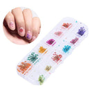 Flores Secas 12 Cores Para Decoração De Unhas Encapsulamento