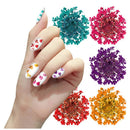 Flores Secas 12 Cores Para Decoração De Unhas Encapsulamento