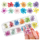 Flores Secas 12 Cores Para Decoração De Unhas Encapsulamento