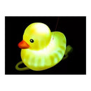 Kit 20 Patinho Jack com Led -  Pato de Borracha Decora Bike Moto