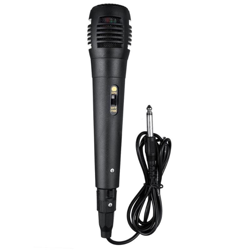 Caixa De Som Amplificada com karaokê Com Microfone Bluetooth, Pendrive, Usb, Fm ,Sd p10 - Alfashop