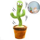 Cacto Pelúcia Dançarino Dançante Toca Musica Repete Sua Voz e Fala - Alfashop