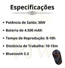 Caixa De Música Duplo Alto Falante 30w Alta Potência Estéreo - Alfashop