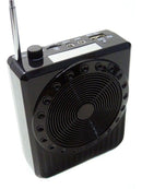 Microfone Lapela Caixa Amplificadora Professor Aula Palestra - Alfashop