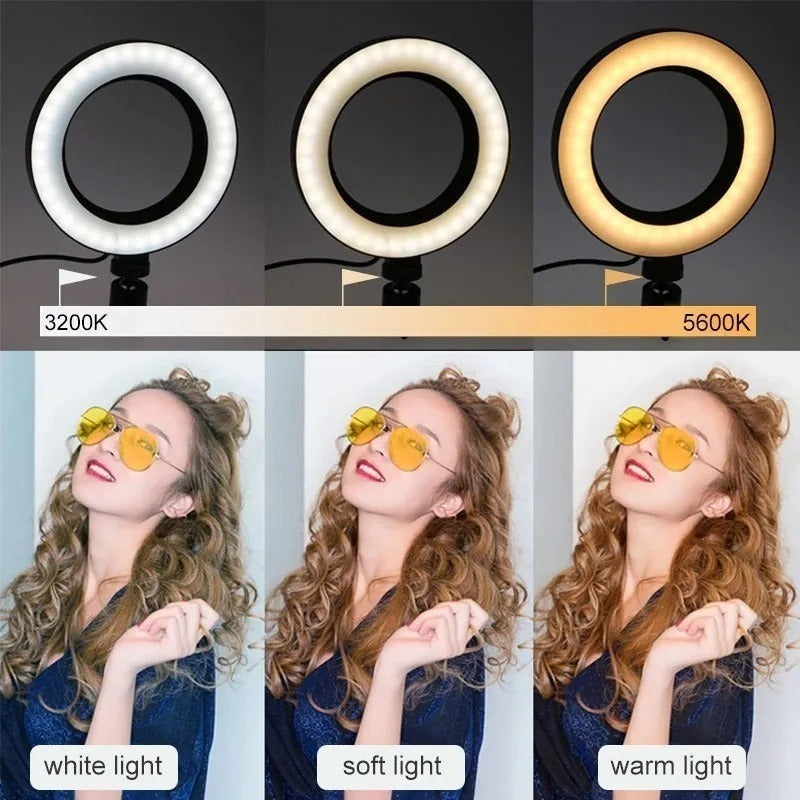 Ring Light Iluminador Led 10 Polegadas Com Tripé De 180 Cm Cor da estrutura Preto Cor da luz 03 Três Cores 110V/220V (BiVolt) - Alfashop