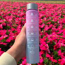 Kit 3 Garrafas Água Lançamento Galão Squeeze 2l 900ml 500 - Alfashop