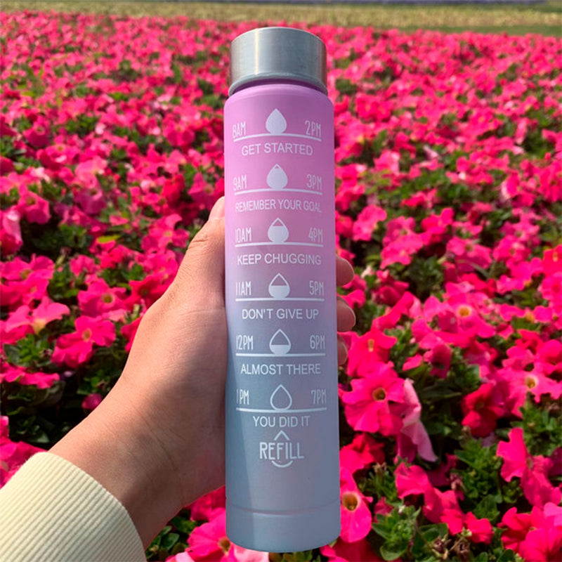 Kit 3 Garrafas Água Lançamento Galão Squeeze 2l 900ml 500 - Alfashop