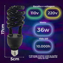 Lampada Globo Colorida + Lâmpada Luz Neon Iluminacao Balada 110v - Alfashop